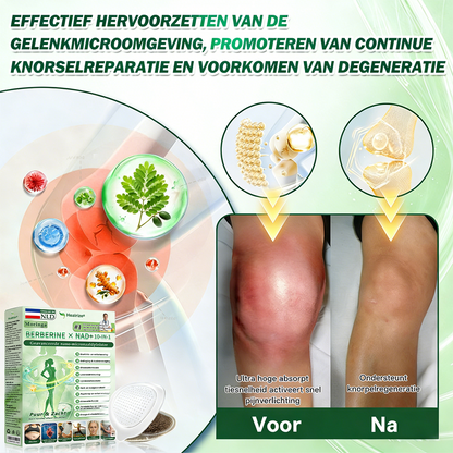 【𝑶𝒇𝒇𝒊𝒄𝒊𝒆̈𝒍𝒆 𝑾𝒊𝒏𝒌𝒆𝒍】| 🌱Healrize® Moringa Berberine x NAD+ 10-in-1 Geavanceerde Nanoformule (𝐒𝐥𝐞𝐜𝐡𝐭𝐬 𝐞́𝐞́𝐧 𝐤𝐞𝐞𝐫 𝐩𝐞𝐫 𝐝𝐚𝐠, 𝐳𝐢𝐜𝐡𝐭𝐛𝐚𝐫𝐞 𝐯𝐞𝐫𝐚𝐧𝐝𝐞𝐫𝐢𝐧𝐠𝐞𝐧 𝐛𝐢𝐧𝐧𝐞𝐧 𝟕 𝐝𝐚𝐠𝐞𝐧) 𝐕𝐨𝐨𝐫 𝐨𝐛𝐞𝐬𝐢𝐭𝐚𝐬, 🅛🅞🅞🅢🅔 🅗🅤🅘🅓, 𝐝𝐢𝐚𝐛𝐞𝐭𝐞𝐬, 𝐬𝐥𝐚𝐚𝐩𝐚𝐩𝐧𝐞𝐮, 𝐠𝐞𝐰𝐫𝐢𝐜𝐡𝐭𝐬𝐤𝐥𝐚𝐜𝐡𝐭𝐞𝐧 𝐞𝐧 𝐦𝐞𝐞𝐫